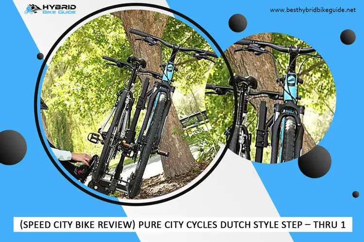 (Speed City Bike Review) Pure City Cycles Dutch Style Step – Thru 1