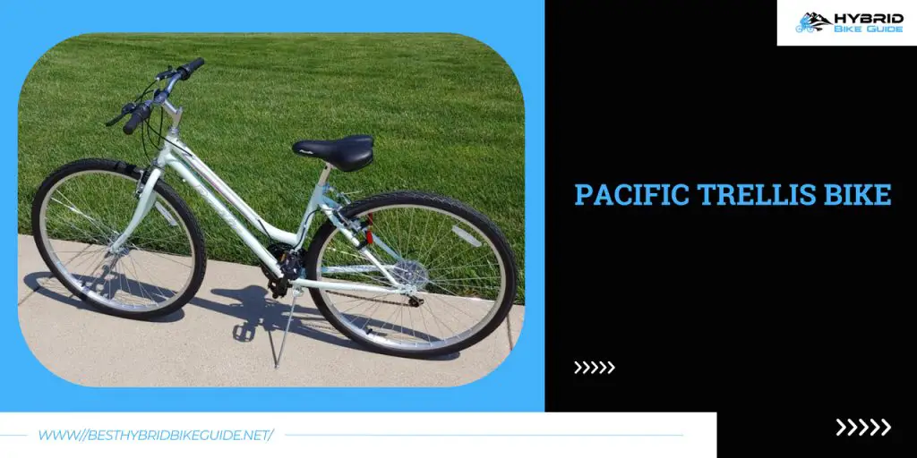 Pacific trellis bike